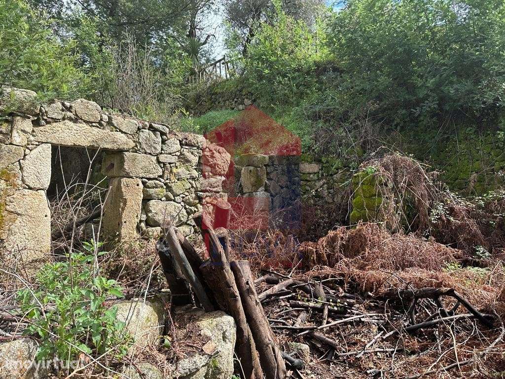 Ruina em Pedregais - Grande imagem: 3/24