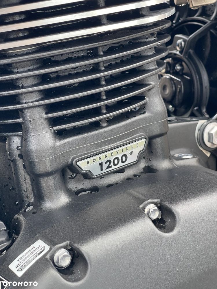 Triumph Speed Twin - 19