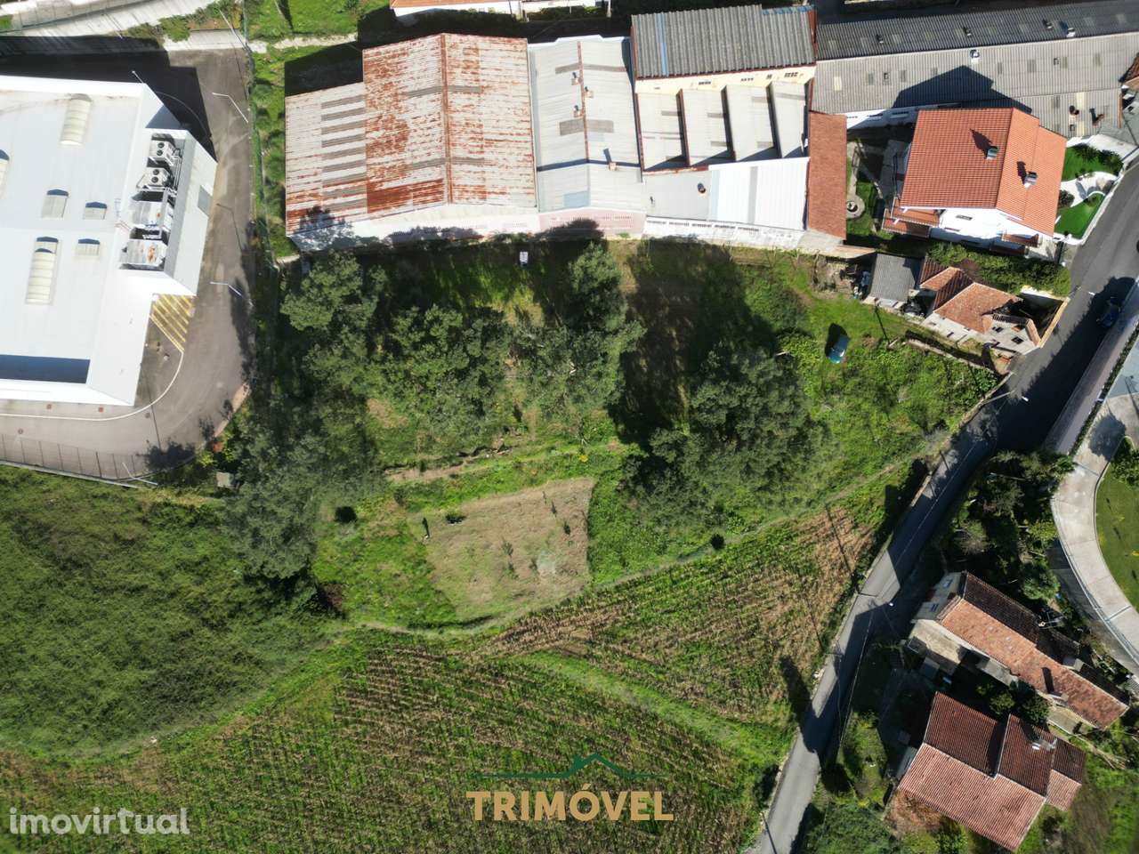Terreno Urbano  Venda em Oliveira de Azeméis, Santiago de Riba-Ul, Ul, - Grande imagem: 3/19