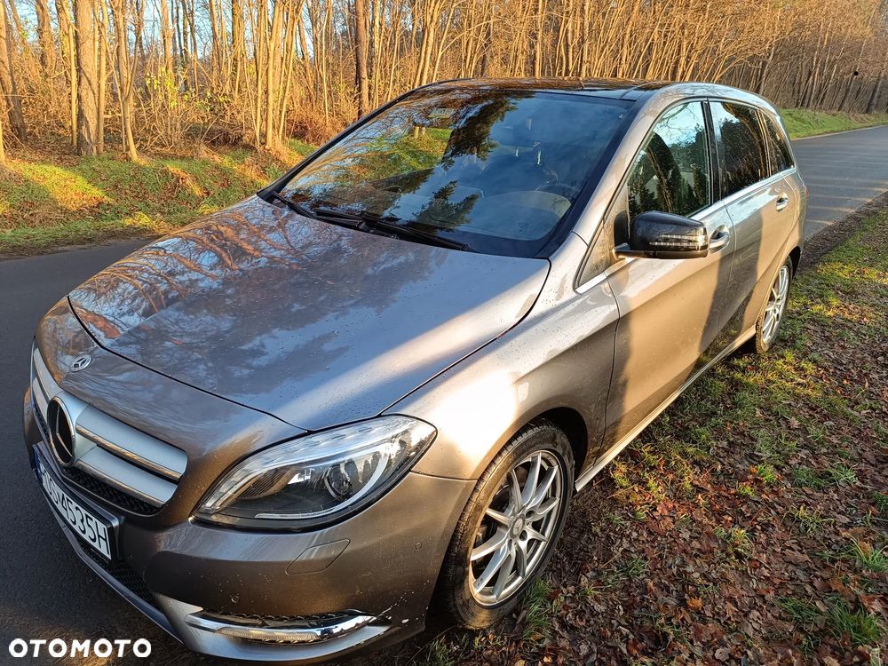 Mercedes-Benz Klasa B 220 4-Matic - 6