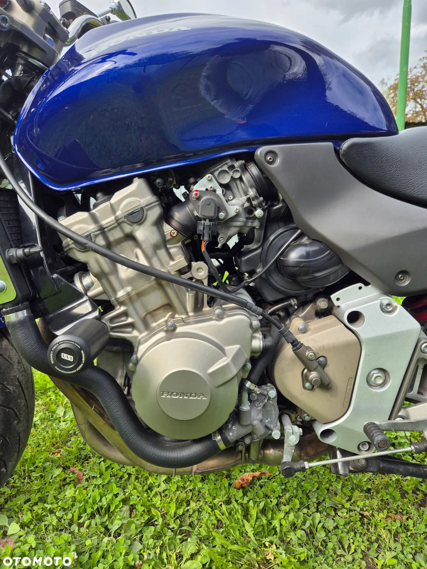 Honda Hornet - 7