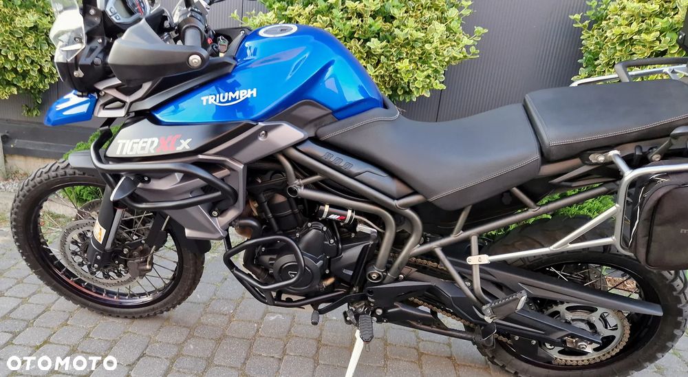 Triumph Tiger - 34