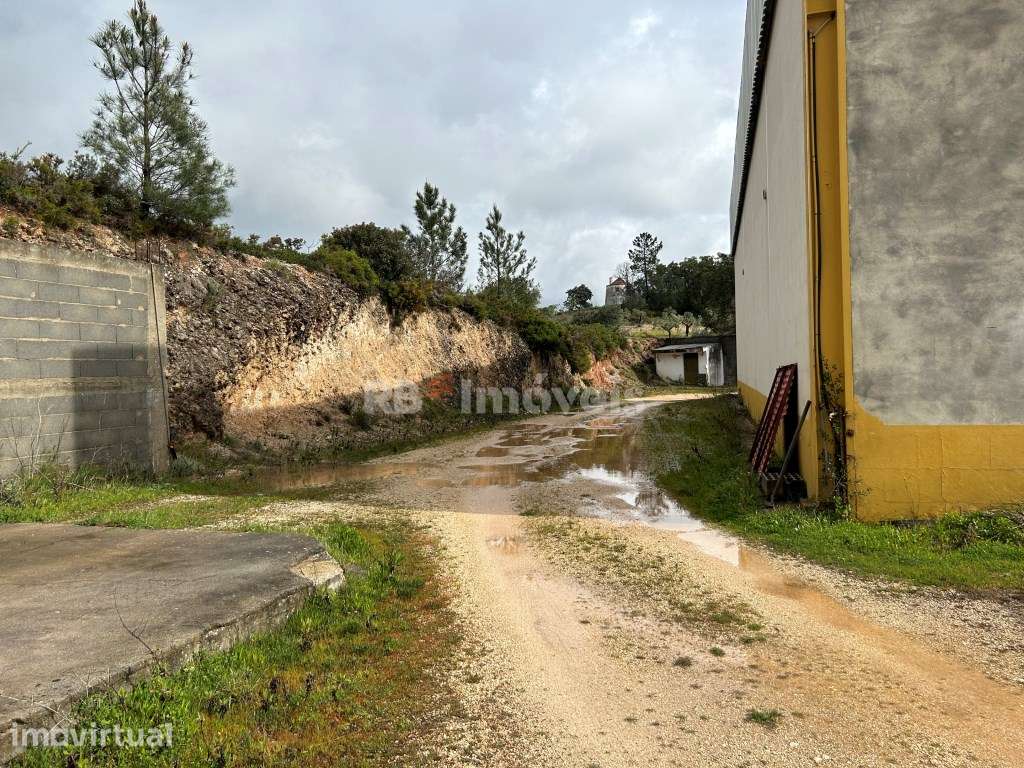 Armazém c/ terreno , em Assentiz, Torres Novas - Grande imagem: 5/24