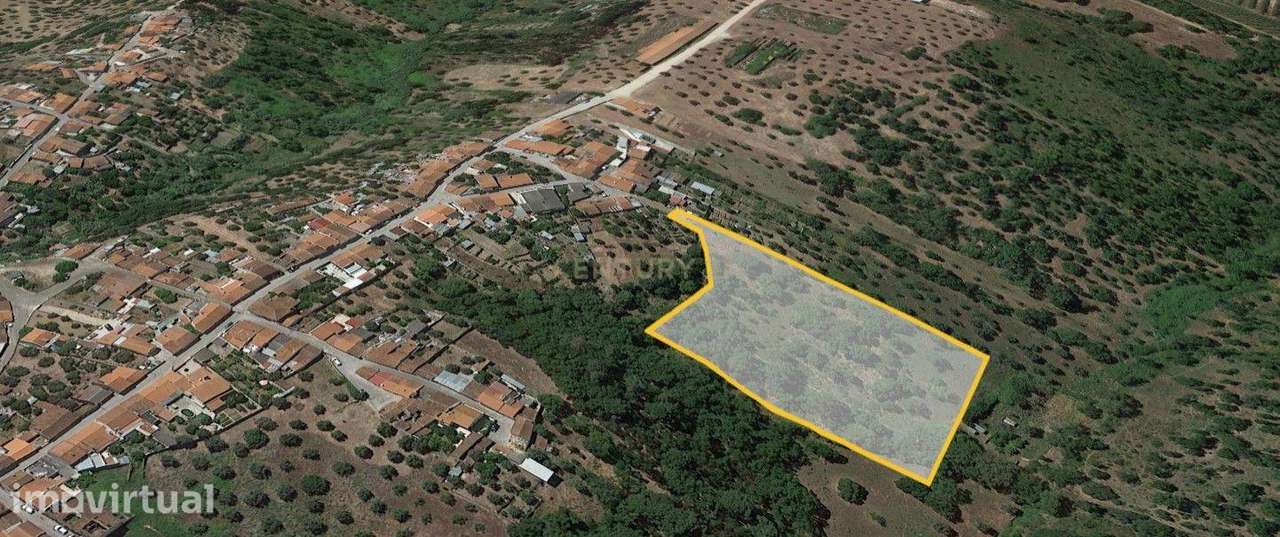 Terreno de 8280m² com cultura Arvense variada em Abrantes - Grande imagem: 4/11