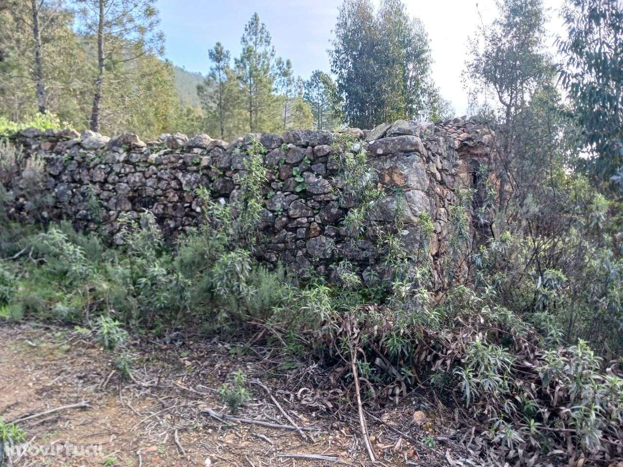 Quinta - Grande imagem: 4/13