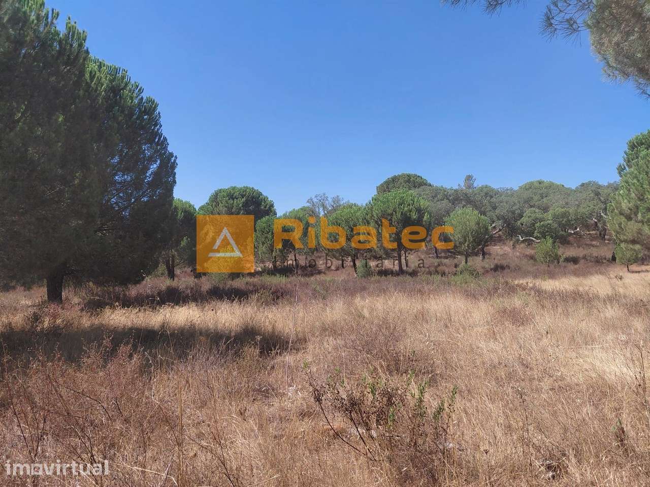 Terreno com 5 hectares no Couço - Grande imagem: 2/7
