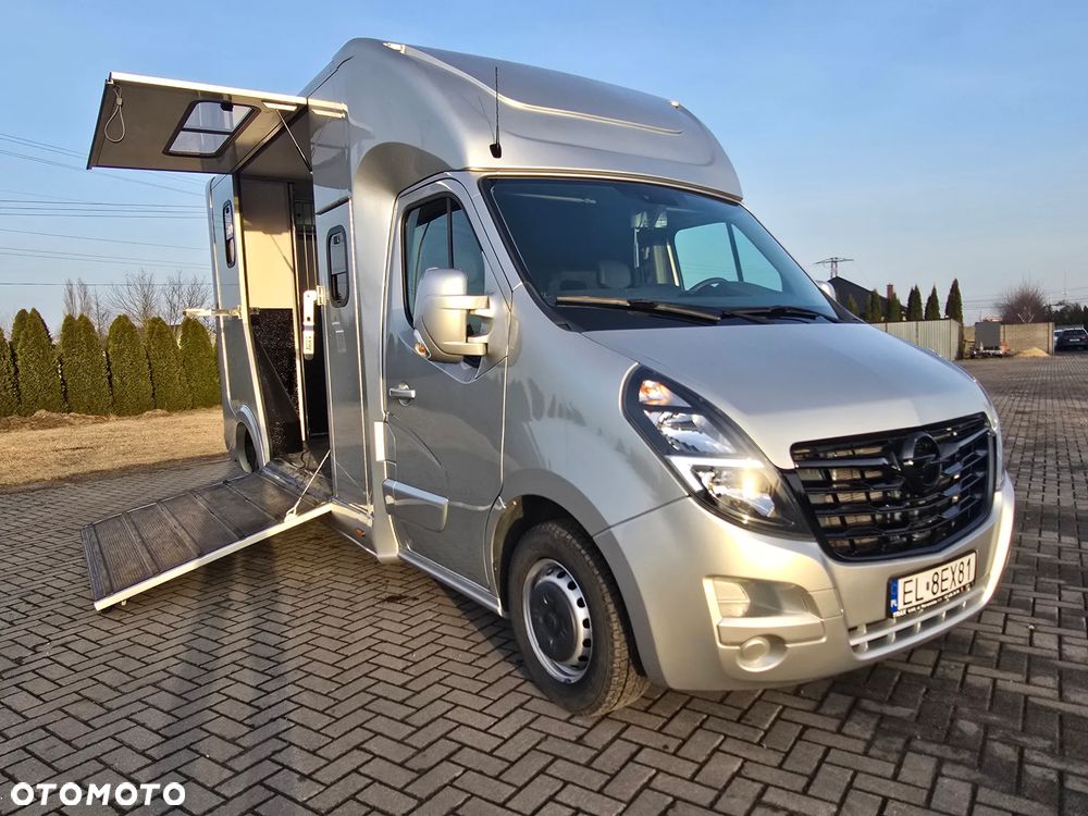 Opel Movano-Koniowóz - 2