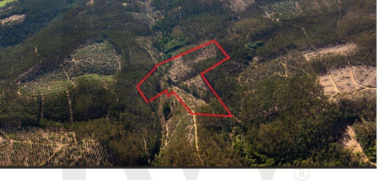 Terreno com 20.750m2 nas Serras do Porto – Aguiar de Sousa - Grande imagem: 3/13