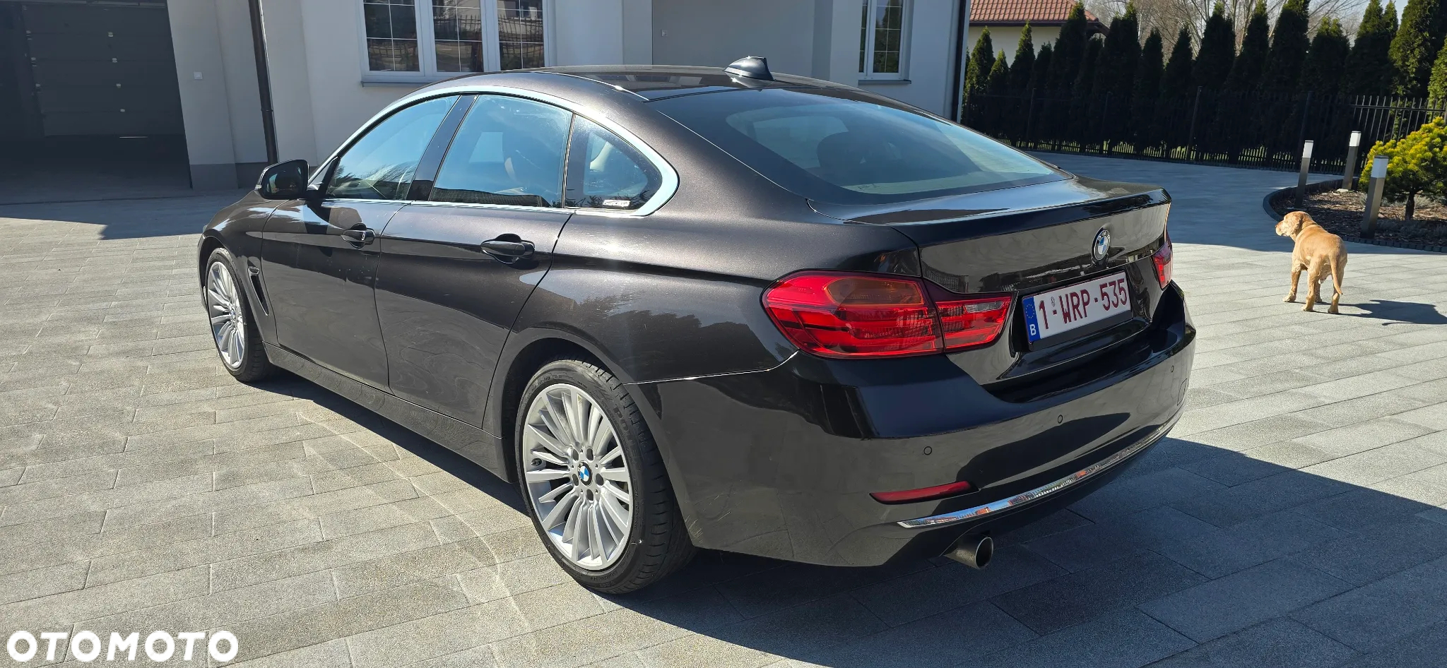 BMW Seria 4 418d Gran Coupe Luxury Line - 4