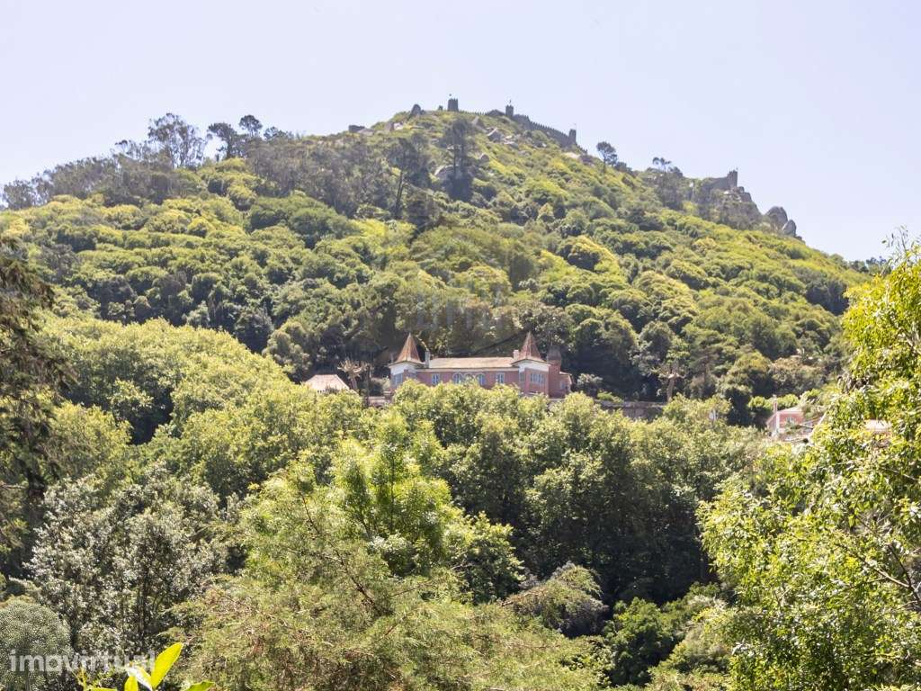 Casa Dos Penedos - Sintra - Grande imagem: 5/60