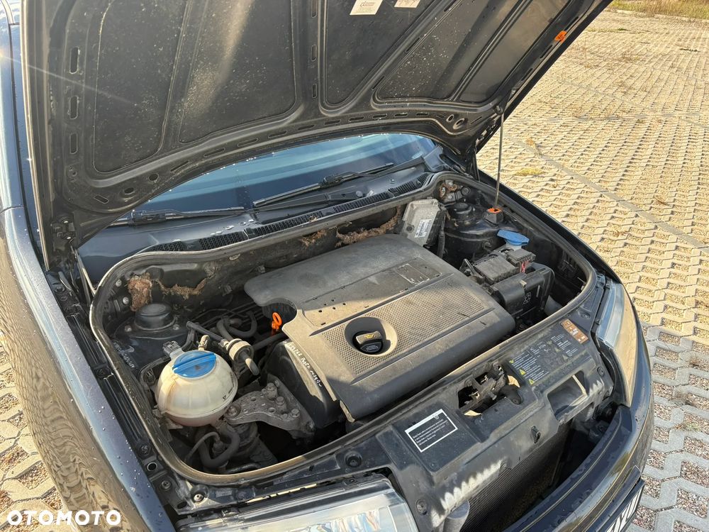 Skoda Fabia - 37