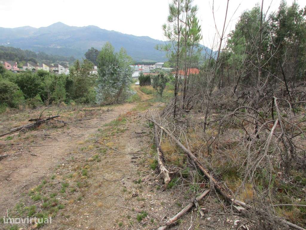 Terreno para construção em Fornelos - Grande imagem: 2/14
