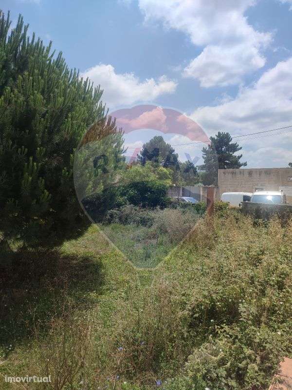 Terreno  para venda - Grande imagem: 5/15