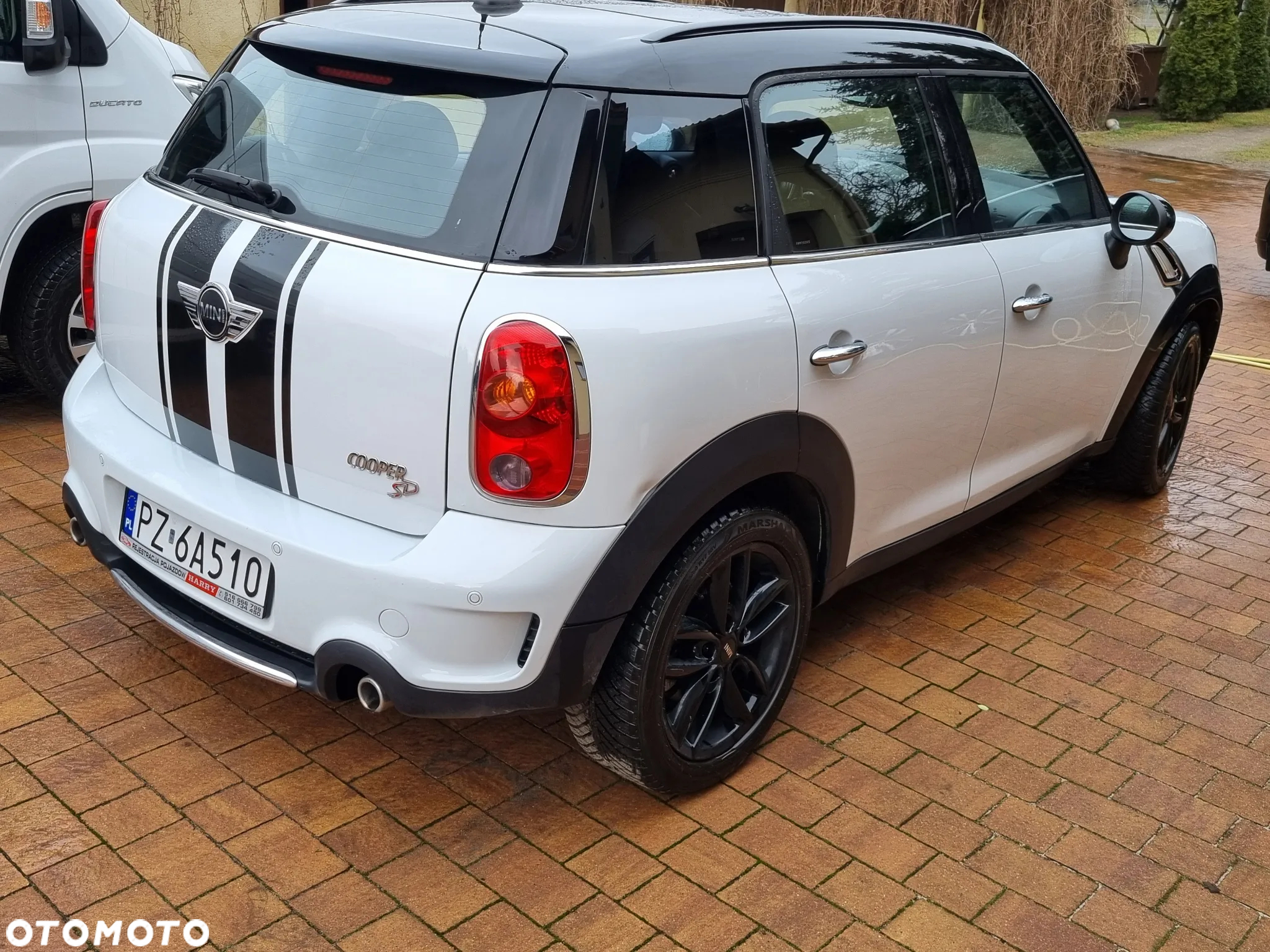 MINI Countryman Cooper SD - 18