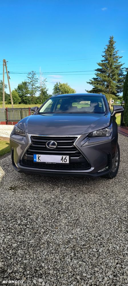 Lexus NX 300h Elite AWD - 3