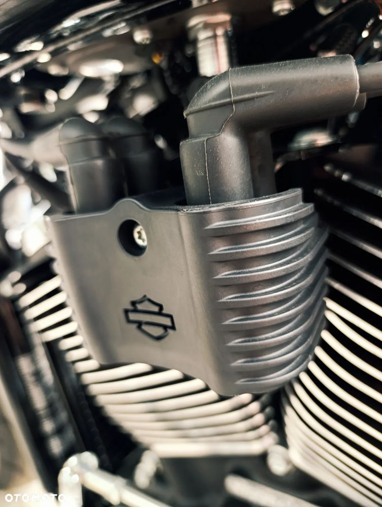 Harley-Davidson Softail Fat Boy - 14