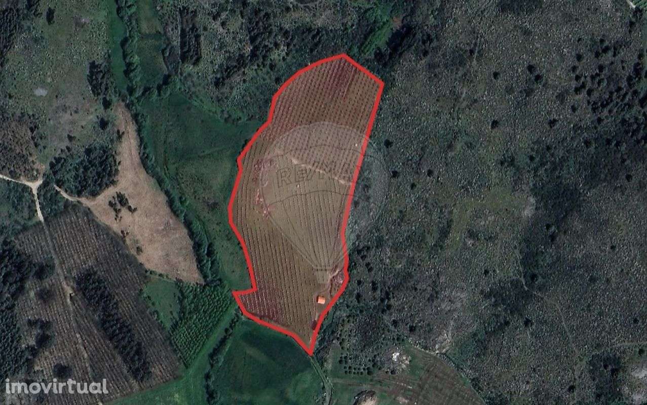 Quinta  para venda - Grande imagem: 3/10