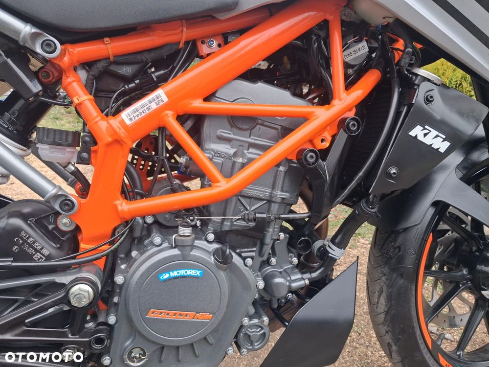 KTM Duke - 19