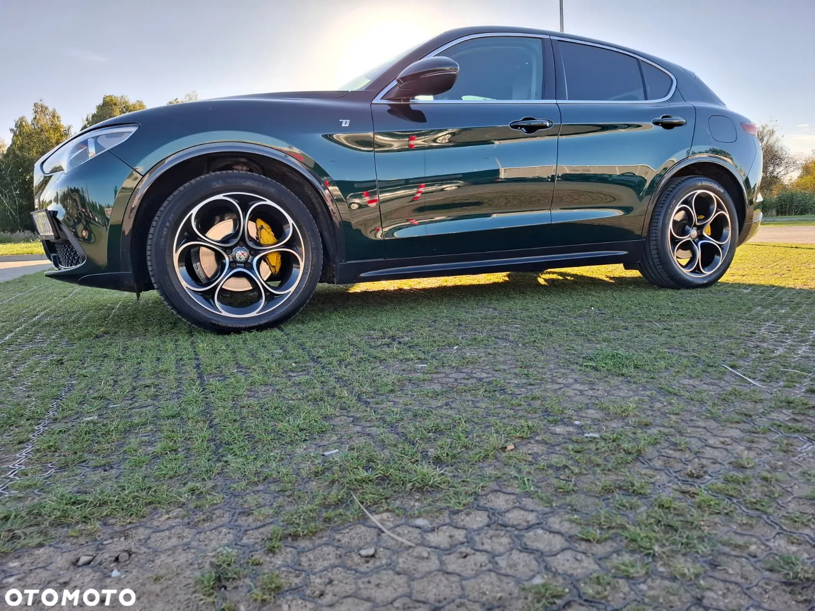 Alfa Romeo Stelvio 2.0 Turbo TI Q4 - 6