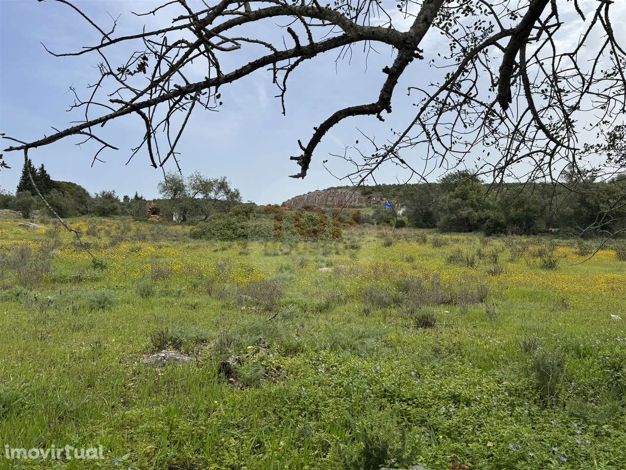Terreno Misto em Moncarapacho - Grande imagem: 4/13