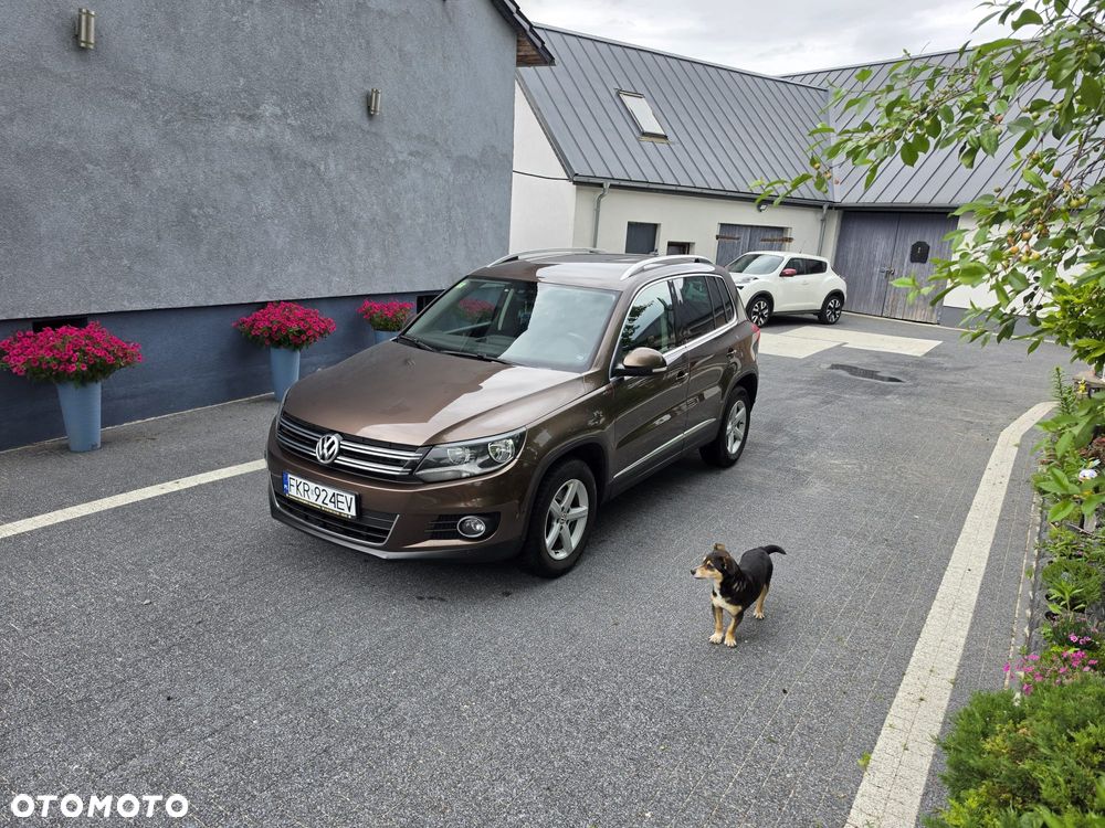 Volkswagen Tiguan 2.0 TDI DPF 4Motion BlueMotion Technology DSG Cup Sport & Style - 13