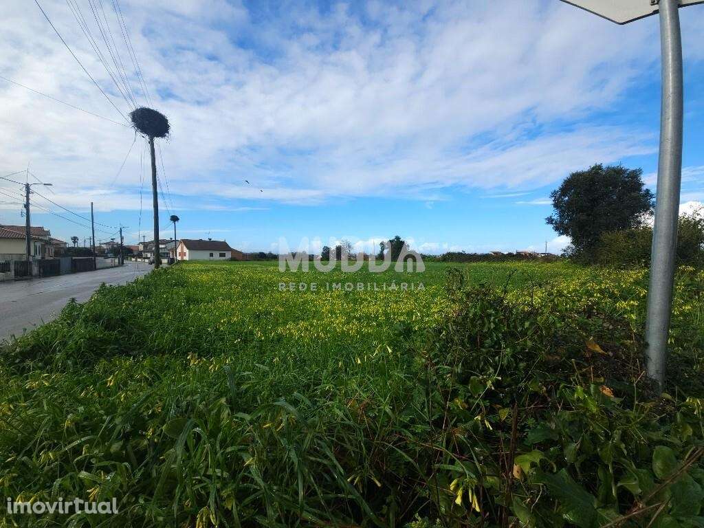 Terreno com elevado potencial em Canelas - Grande imagem: 2/4