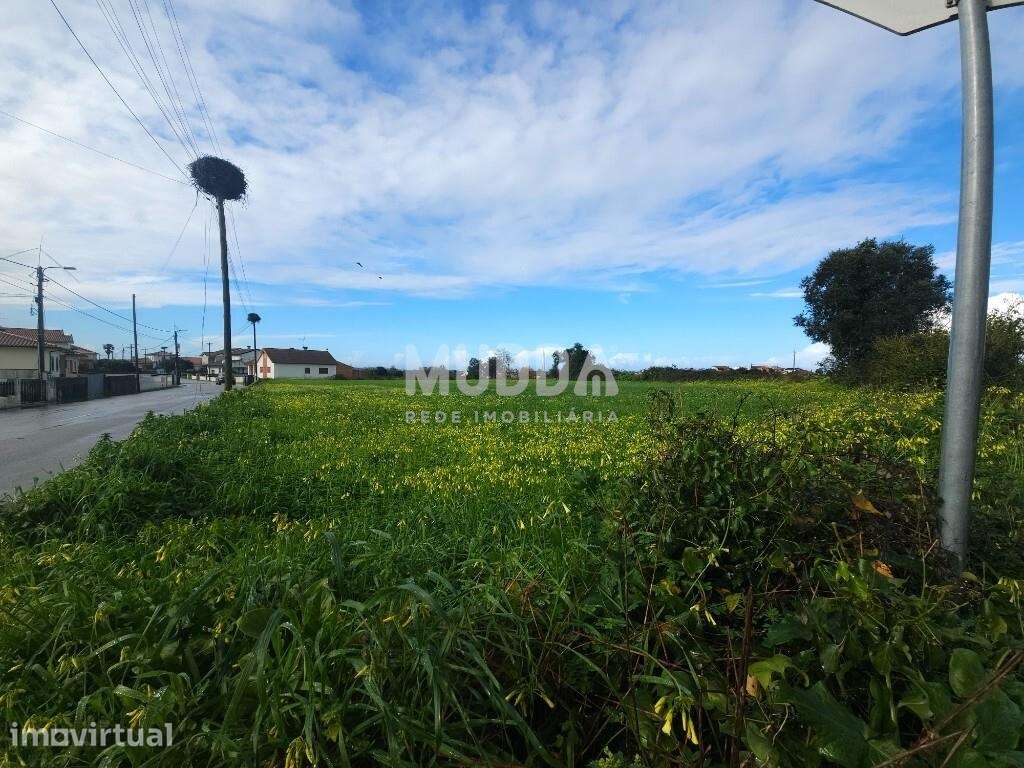 Terreno com elevado potencial em Canelas - Grande imagem: 2/4