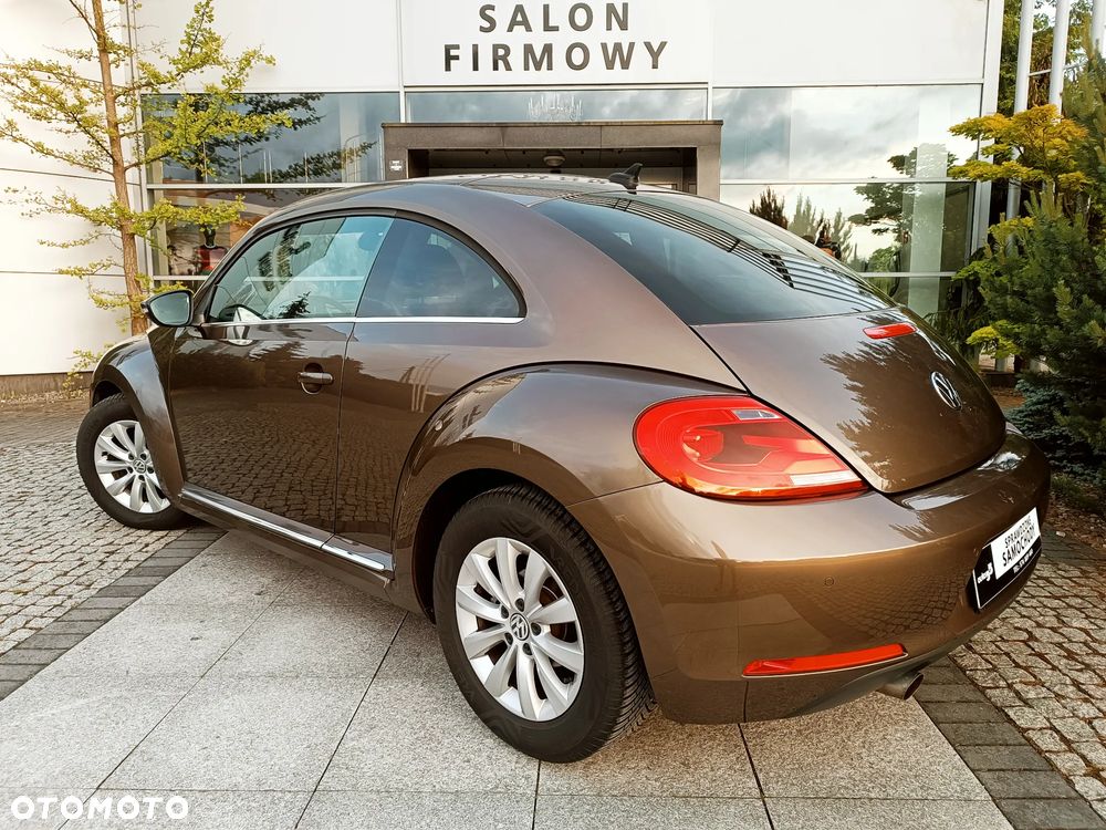 Volkswagen Beetle - 6