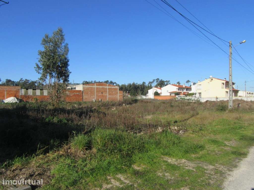 Terreno para construção na zona de Monte Real - Grande imagem: 2/9