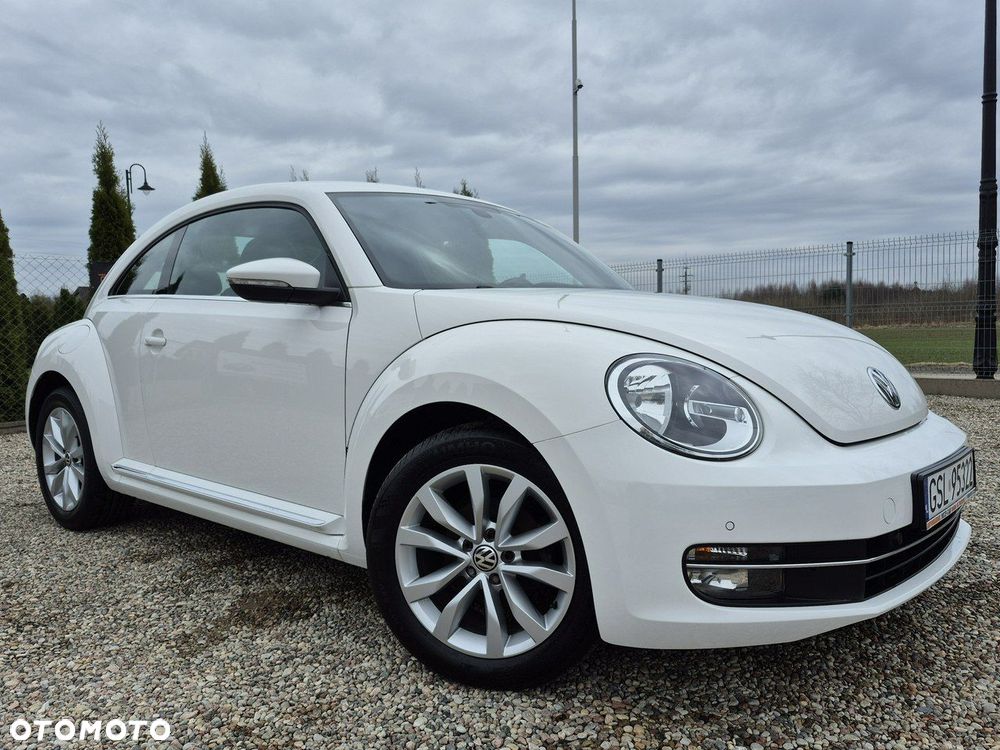 Volkswagen Beetle - 29