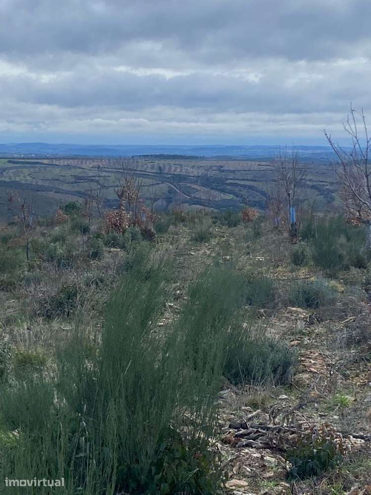 Terreno para venda - Bragança - Grande imagem: 2/9