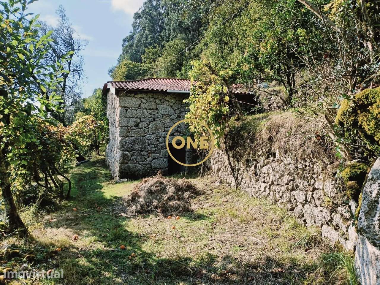 Terreno com Aprox: 10.000m2 - Grande imagem: 2/29