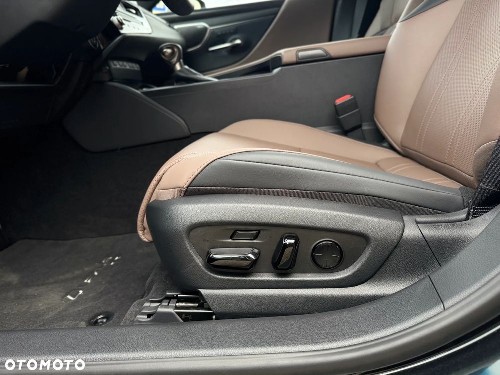 Lexus ES 300h Omotenashi - 19