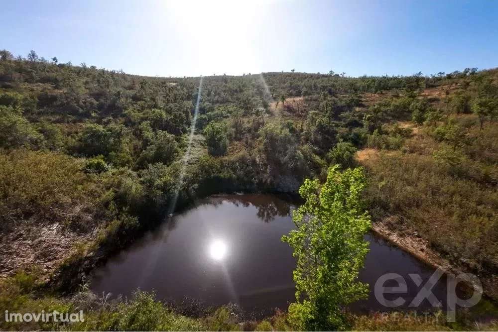 Excecional Herdade de 65 hectares no Alentejo com potencial de desenvo - Grande imagem: 2/48