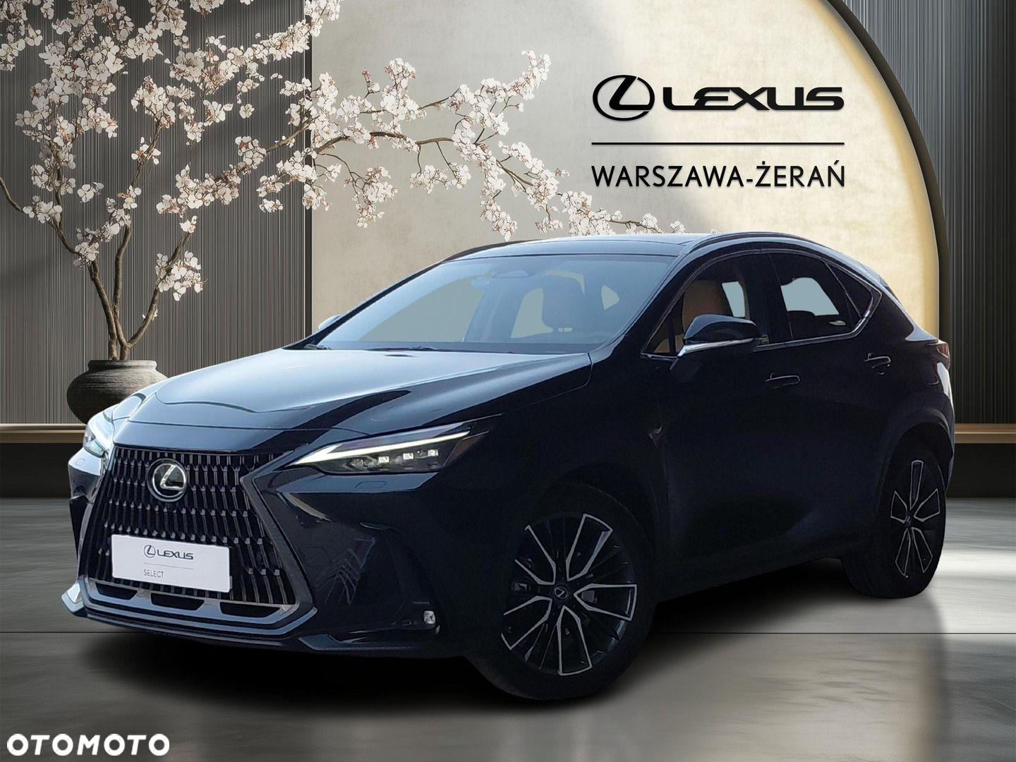 Lexus NX 350h Omotenashi AWD - 2
