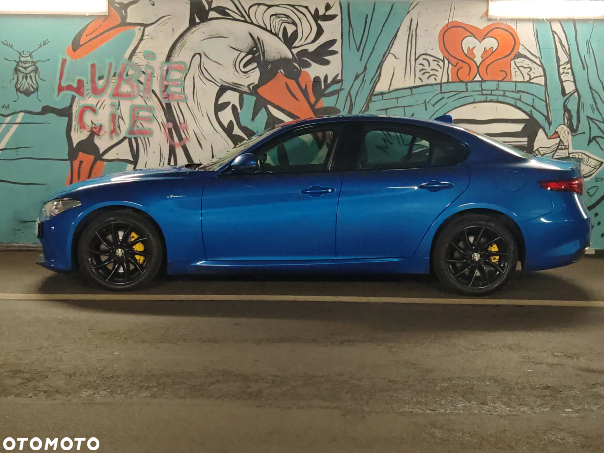 Alfa Romeo Giulia 2.0 Turbo Veloce Q4 - 2