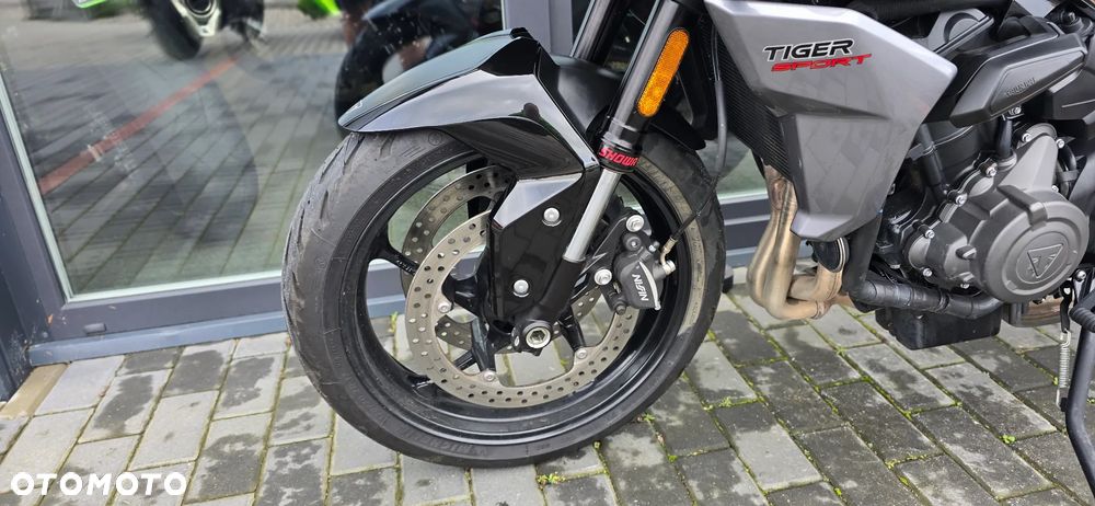 Triumph Tiger - 31
