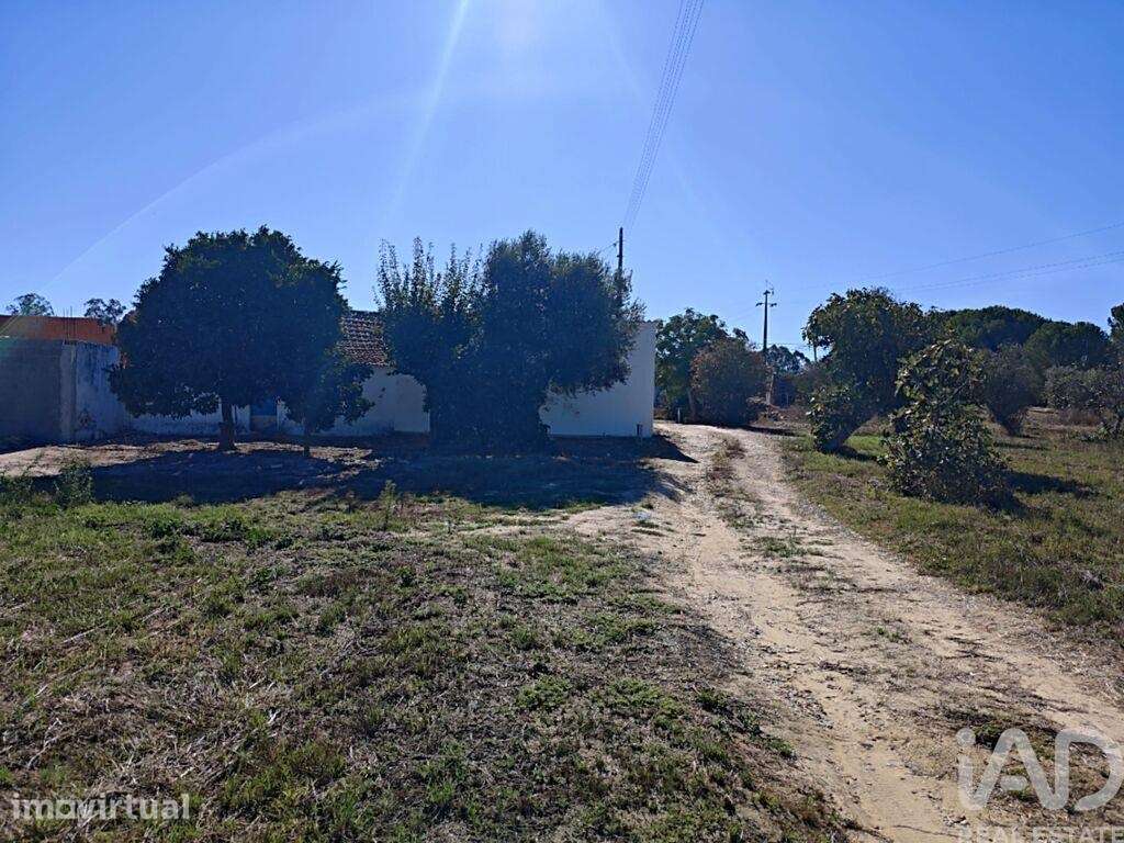 Quinta T4 em Coruche, Fajarda e Erra de 126 m2 - Grande imagem: 5/28