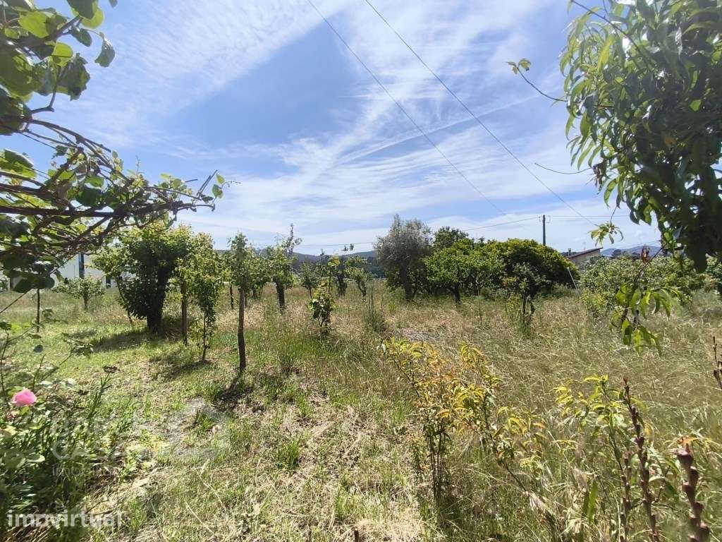 Exclusividade e Localização Estratégica: O Terreno Perfeito para o ... - Grande imagem: 4/12