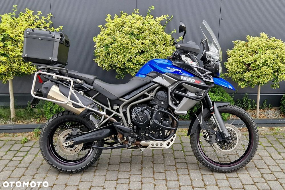 Triumph Tiger - 3