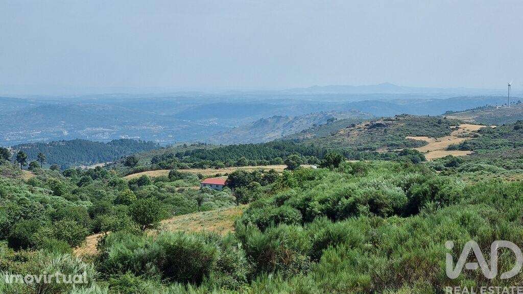 Terreno Agrícola em Prados - Grande imagem: 5/28