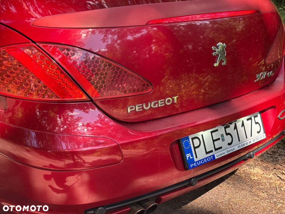 Peugeot 307 - 18