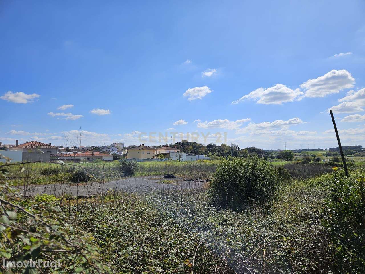 Terreno Agrícola nos Riachos - Grande imagem: 4/10