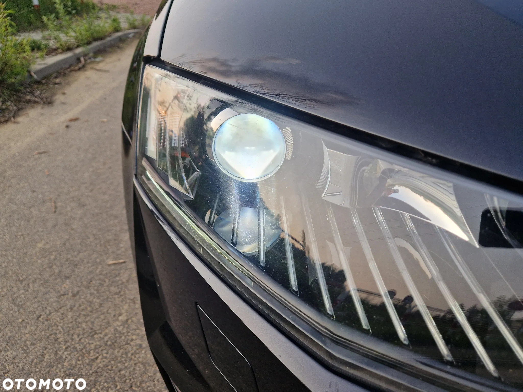 Skoda Octavia Combi 2.0 TDI (Green tec) RS - 31