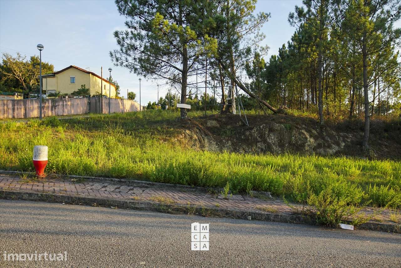Lote de Terreno  Venda em Pinheiro da Bemposta, Travanca e Palmaz,Oliv - Grande imagem: 3/35