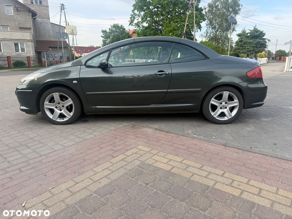 Peugeot 307 CC 2.0 - 10