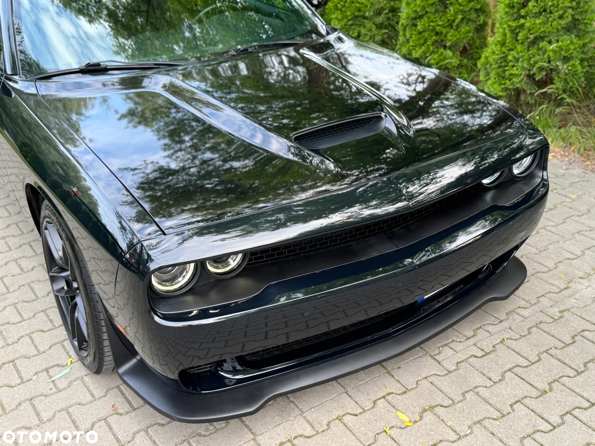 Dodge Challenger Automatik R/T Plus - 10