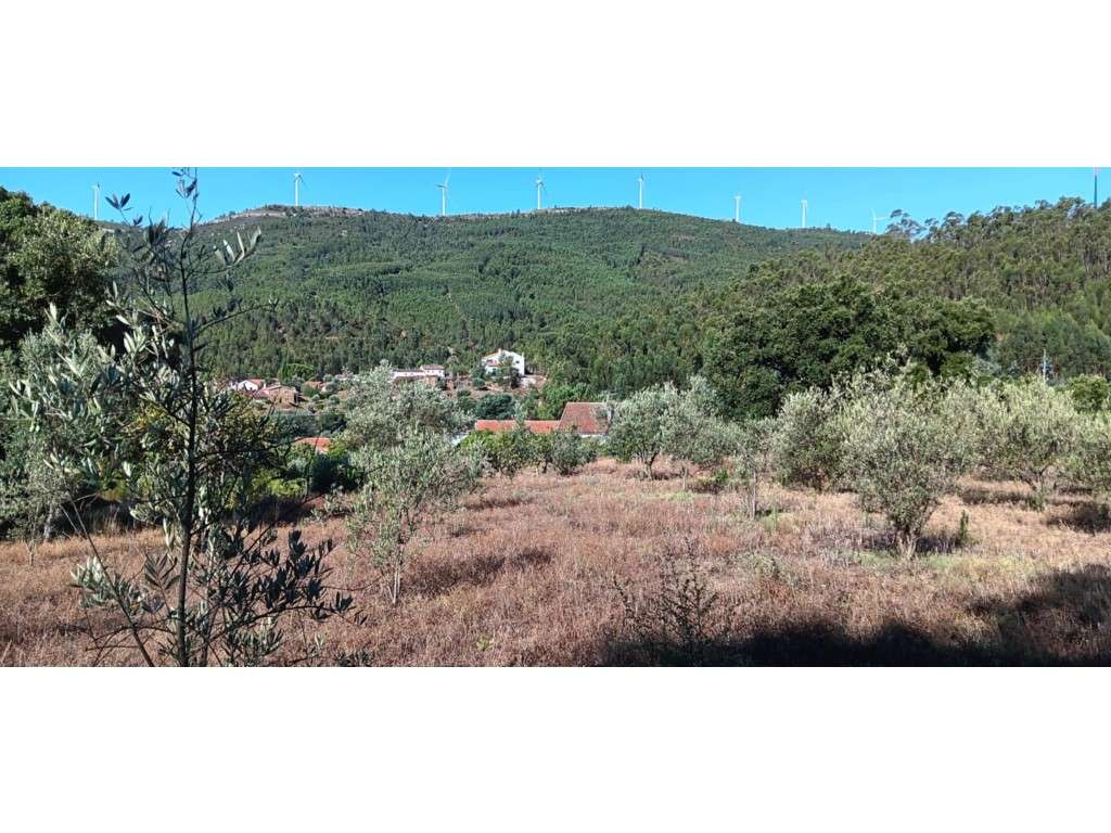 Terreno Agrícola/Florestal com construção rural a 10 Km da vila de ... - Grande imagem: 2/29