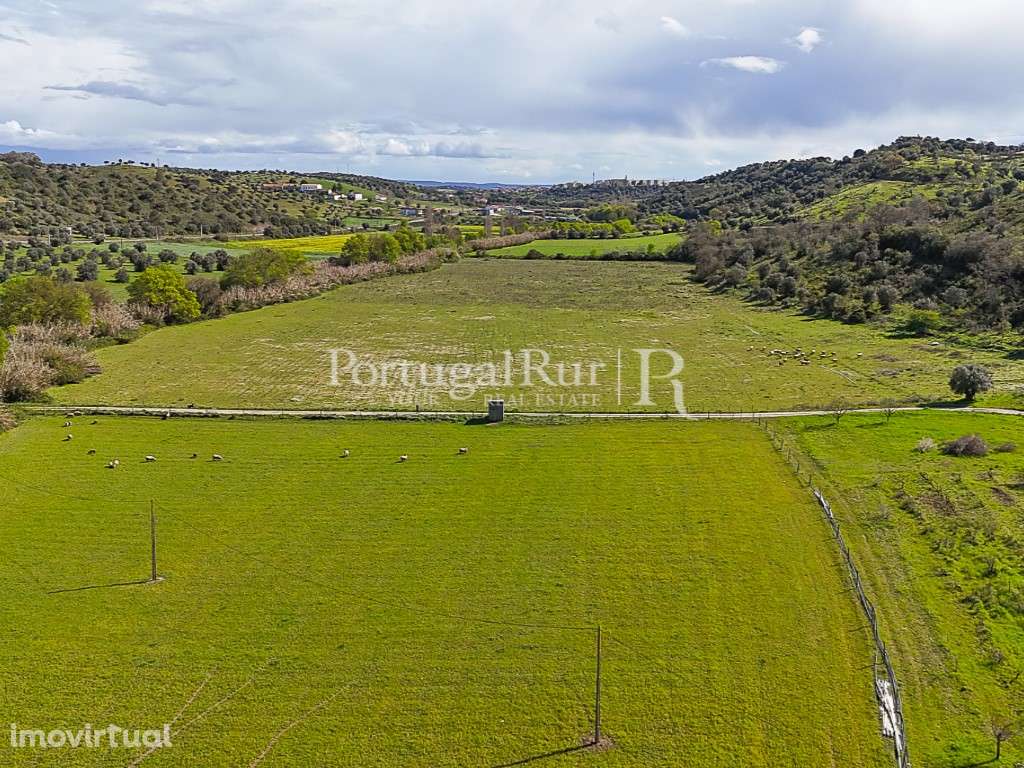 Quinta de 40 ha para Regadio com Casa Senhorial e Potencial Turístico - Grande imagem: 4/60