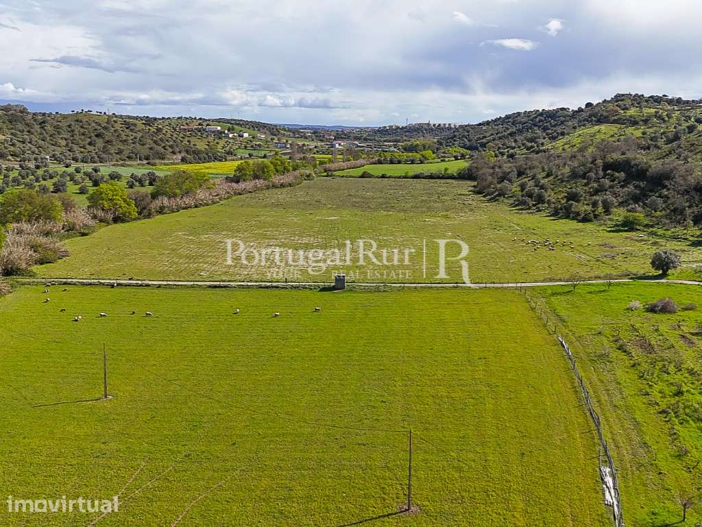Quinta de 40 ha para Regadio com Casa Senhorial e Potencial Turístico - Grande imagem: 4/60
